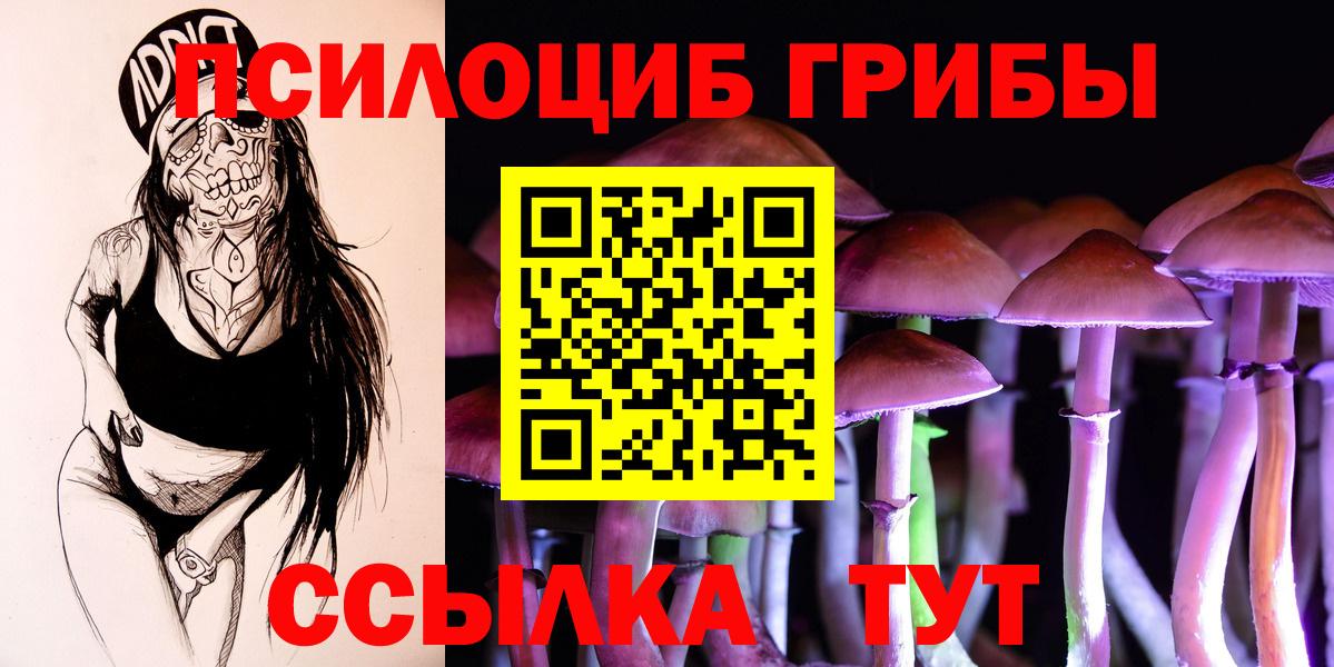 Галлюциногенные грибы мухоморы Вичуга