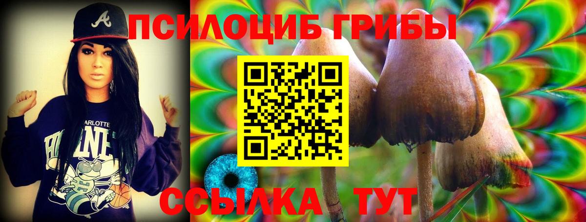 Псилоцибиновые грибы GOLDEN TEACHER  Вход с VPN  Вичуга 
